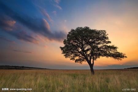 óٻٰڶ조걭 ҵ20֧Ӳ