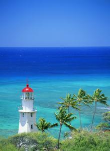 վƻش羳Ĳ 永ʽ4.4