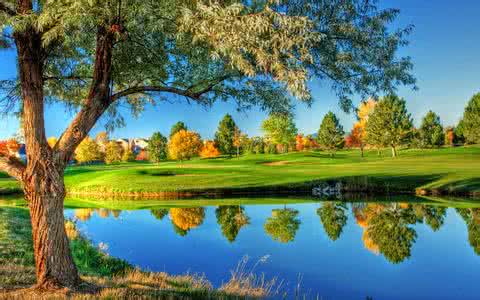 Ľ조׼ߡѧֻںٰ ֻĸ㽭͵;о