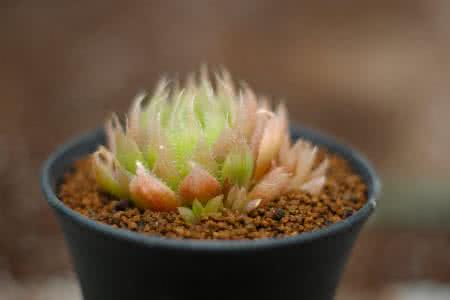 ͨ䲿Сͳ޾Ӫ߲泵ṩ