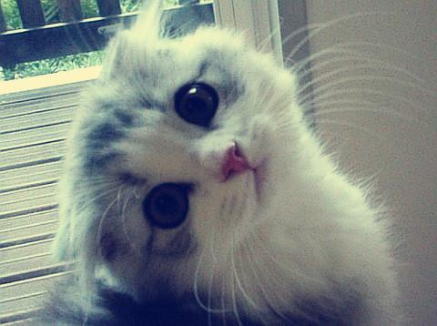 ÖÐÓ¡Ë«·½Õý¾Í¾ÙÐеھÅÂÖ¾ü³¤¼¶»á̸½øÐÐÐÉÌ